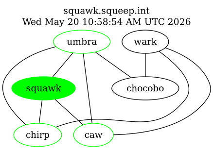 squawk